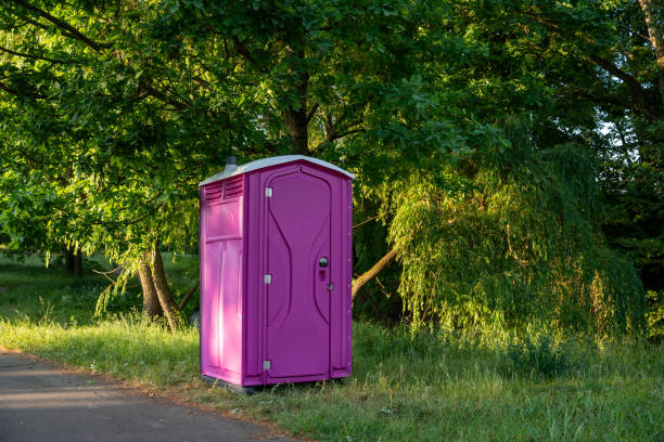 Best Luxury portable toilet rental  in Powells Crossroads, TN